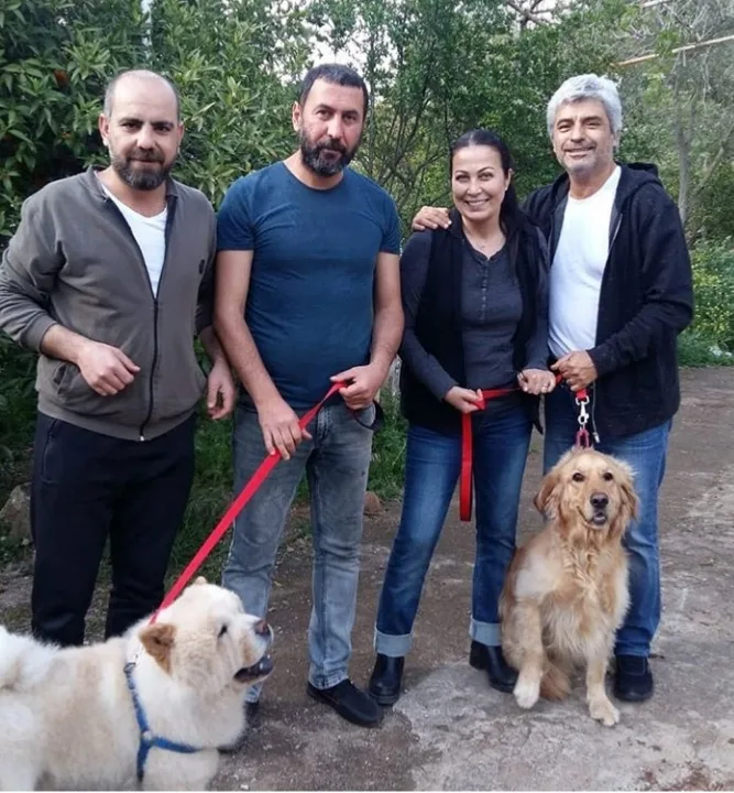 Bodrum Fun Pet Otel ve Köpek Eğitim Merkezi Torba pet otel görseli 3