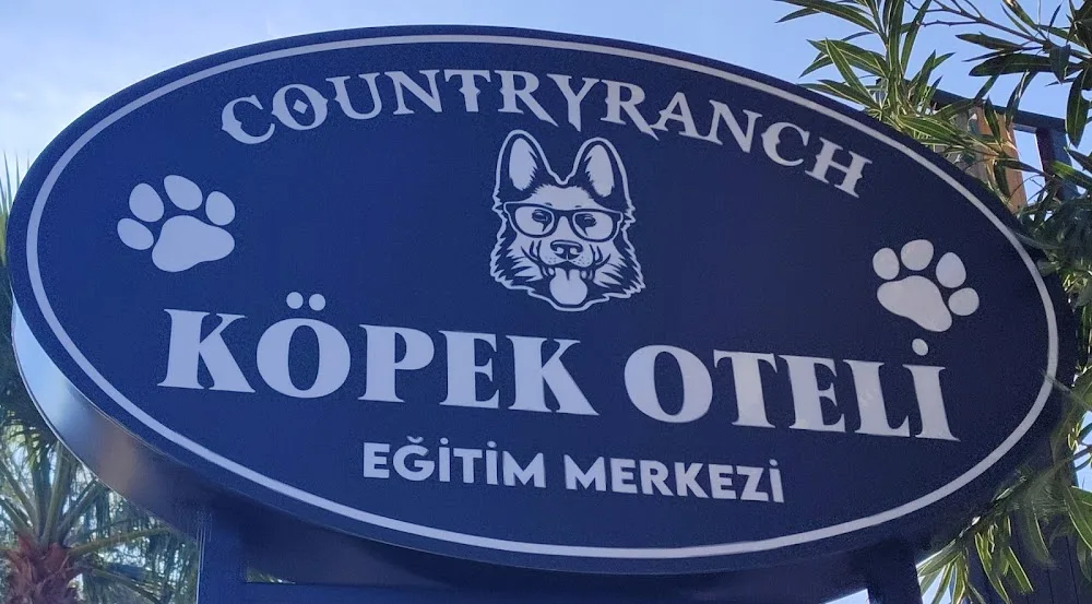 Countryranch Bodrum Kedi-Köpek Oteli ve Köpek Eğitim Merkezi - İslamhaneleri, Bodrum pet otel