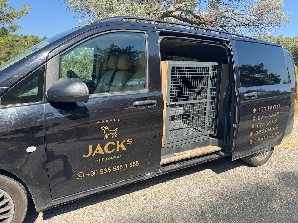 Pet Transfer Bodrum - Kumbahçe, Bodrum pet otel