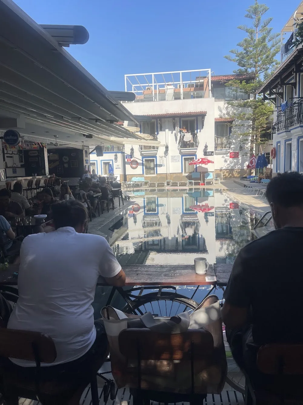 Pet Transfer Bodrum Kumbahçe pet otel görseli 3