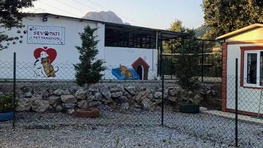 Sevpati Pet (Pet Pansiyon & Pet Kuaför & Pet Shop) - Müskebi, Bodrum pet otel