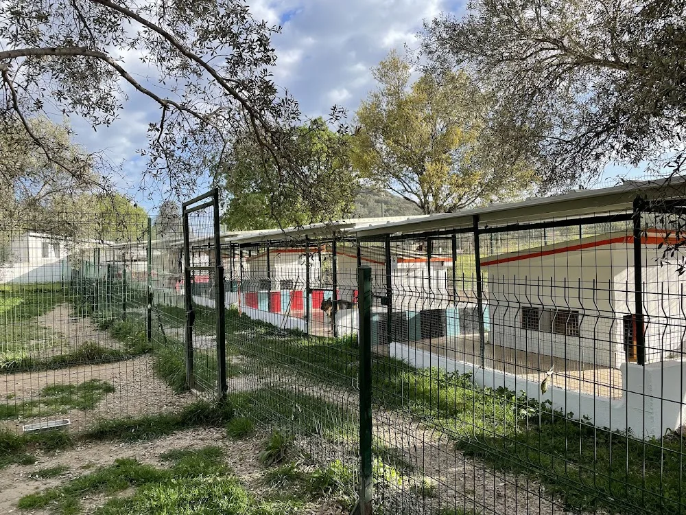 Tektek Köpek Oteli Turgutreis pet otel görseli 3