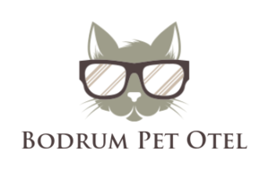 BODRUM PET OTEL - Bodrum Kedi ve Köpek Oteli - Bodrum Pet Pansiyon